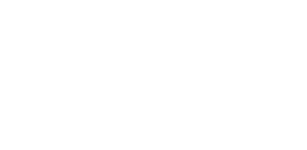 elecig.pl